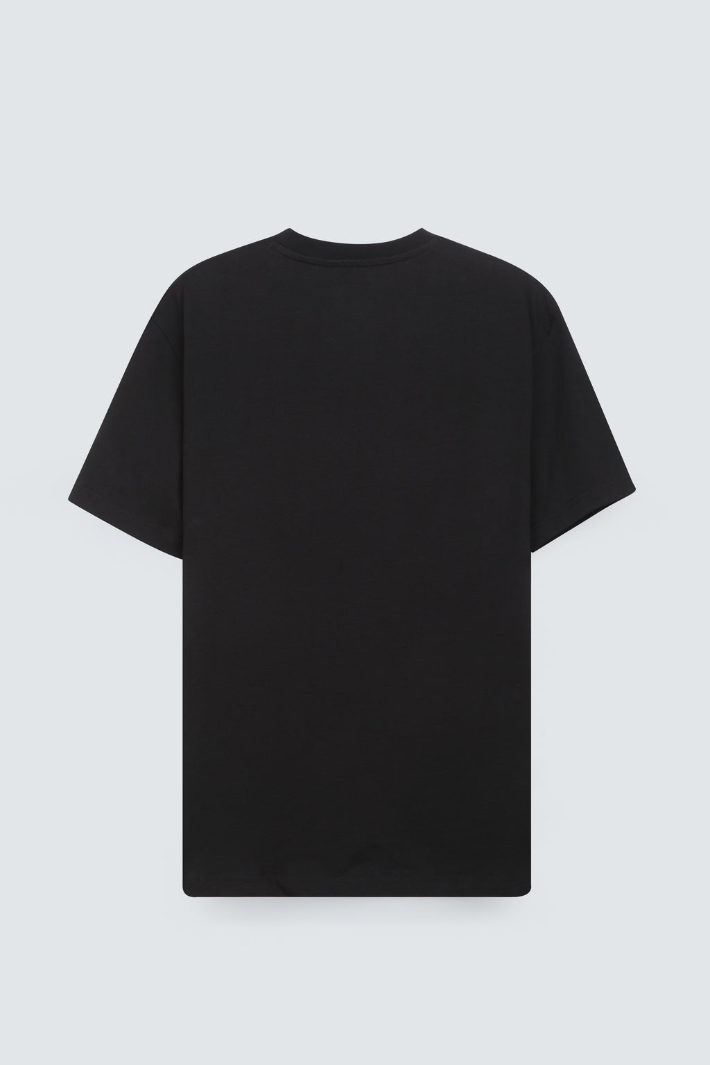 SIDEWIND No Risk No Story Tee
